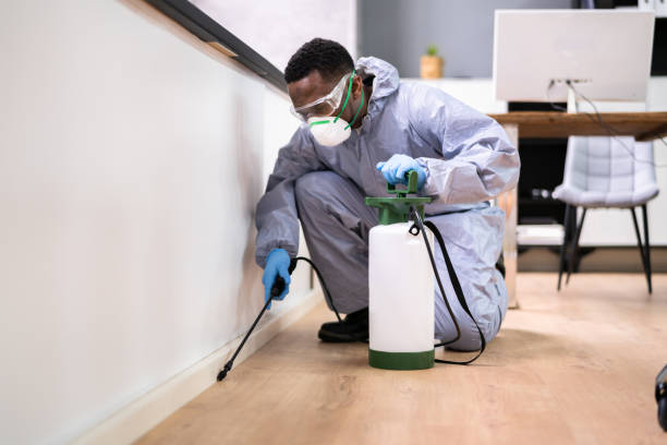 Best Fumigation Services  in Great Neck, NY